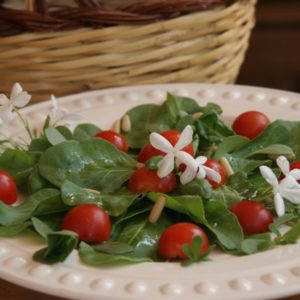 Benessere E Leggerezza: L’insalata, Il Piatto Più Cool!