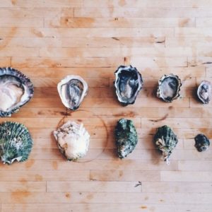 Oysters